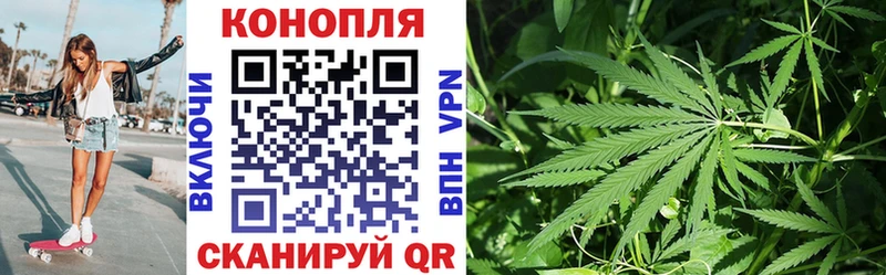 Бошки Шишки сатива Магнитогорск